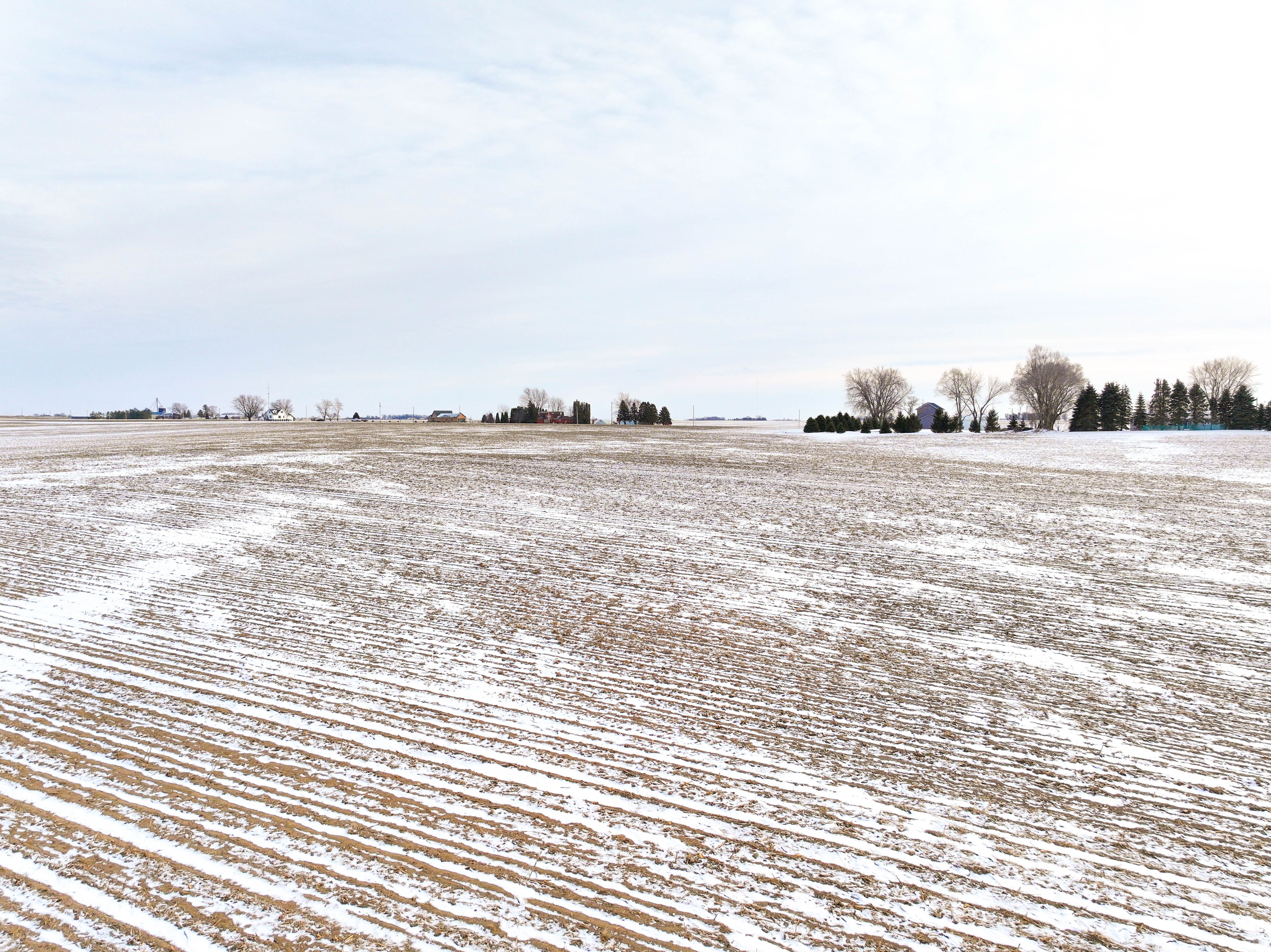 Listing Photo: 12_Jesup Land For Sale
